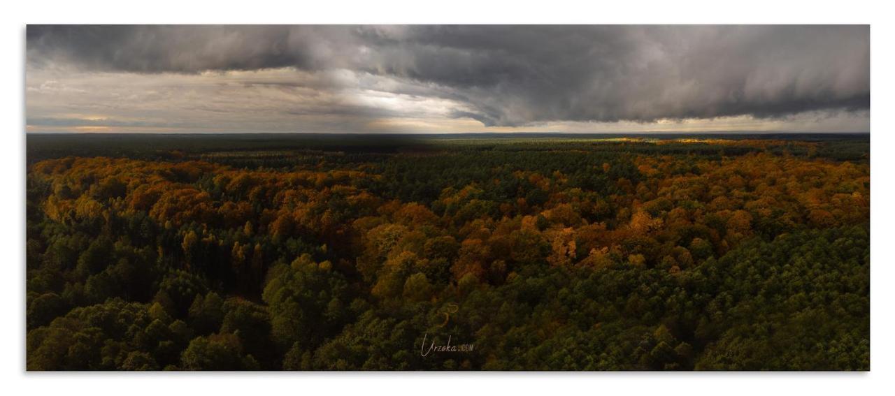 Urzeka Hotel Drzewce  Buitenkant foto